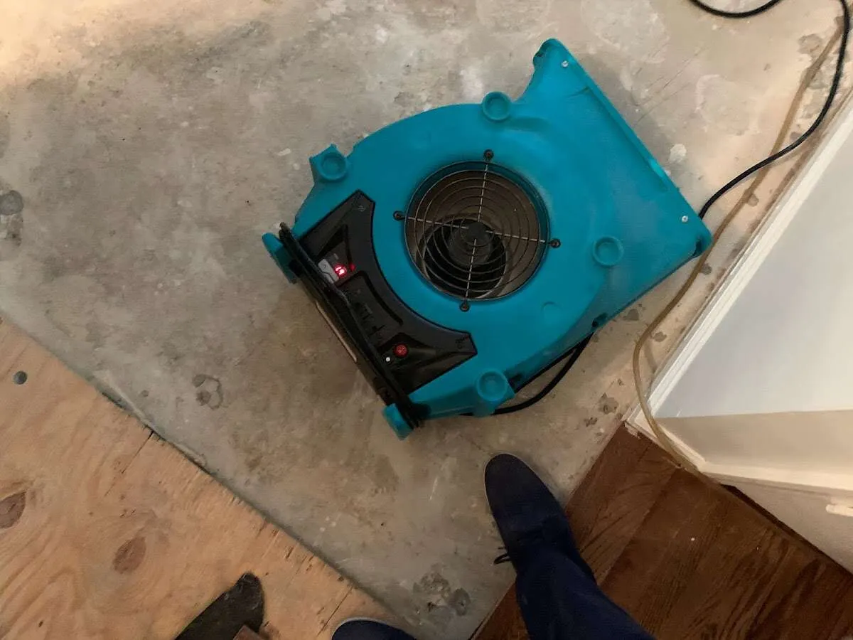 Air mover drying subfloor during Commercial Water Damage Restoration in Springfield