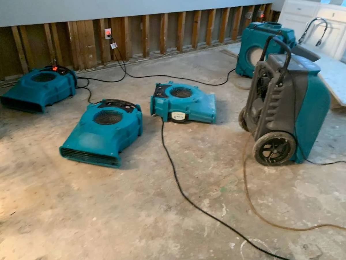 Water Damage Assessment in Springfield, VA